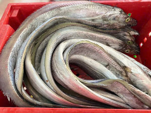 Pescado Cutlass Entero Congelado, Envasado al Vacío Premium IQF/BQF, Mariscos de Vietnam con Precio Competitivo para el Mercado Global - Product Image 4