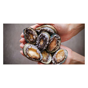 Abulón de Mar Congelado de Grado de Exportación, Alta Calidad, Bajo en Carbohidratos, Envasado al Vacío para Reventa al por Mayor - Product Image 1