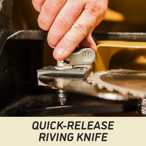 Sierra de mesa de 14 pulgadas con capacidad de corte longitudinal de 50 pulgadas, 7-1/2 HP, 230/460V, trifásica, para la categoría de productos de hojas de sierra - Product Image 2