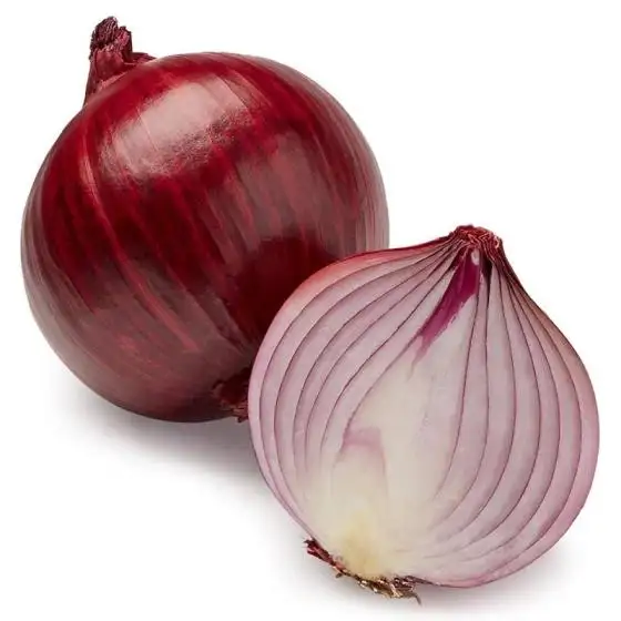 Premium Quality Fresh Red Onion From Thailand Agricultural Products Wholesale Fresh Vegetables 10 Kg Per Carton