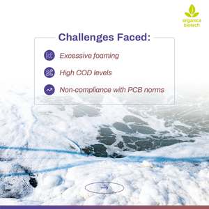 Tratamiento de aguas residuales BAF - Product Image 3