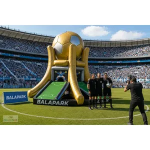 Juego de Tiro al Blanco - Vallas Inflables para Juegos Deportivos al Aire Libre para Parques Deportivos y Uso Escolar - Product Image 4