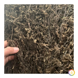 Feuilles de gelée d'herbe séchées de haute qualité pour les acheteurs B2B - Product Image 4