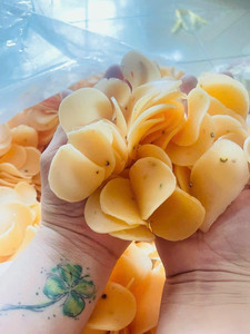 Galleta de gamba de exportación superior a precio asequible - Product Image 4