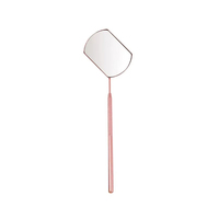 Miroir cosmétique portable de poche 3X en acier inoxydable pour extensions de cils, grand angle, éclairé, finition argentée, léger et de qualité supérieure