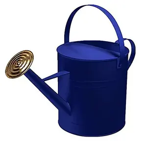 Modern design Metal watering can Dark blue color indoor outdoor Plant With Easy Pour Goose neck Spout