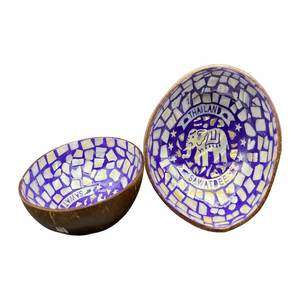 Nuevos cuencos de coco lacados de primera calidad Estilo único y diseño colorido para exportación a granel - Product Image 5