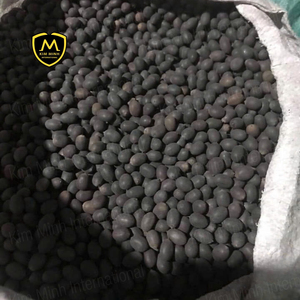 Graines de lotus noires de qualité supérieure (Kamal) - Fournisseur vietnamien - Product Image 4