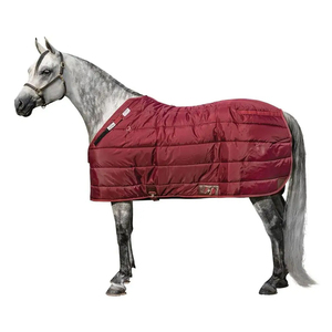 Manta Impermeable y Transpirable para Caballos, Desmontable, para el Cuello, Accesorios Ecuestres - Product Image 4