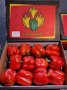 พริกหวานสด (แดง/เหลือง/เขียว/ส้ม) คุณภาพสูง 5 กก. ในกล่อง จากอียิปต์ อุดมด้วยวิตามินซีและสารต้านอนุมูลอิสระ - Product Image 2