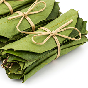 100% Hojas de Guanábana secas naturales cuidadosamente seleccionadas para un sabor refrescante producto agrícola - Product Image 4