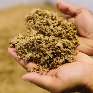 MATÉRIAUX D'ALIMENTATION DE RÉSIDUS DE BRASSAGE DE BIÈRE BIOLOGIQUE PREMIUM DU VIETNAM POUR LE BéTAIL/MEILLEURE NUTRITION POUR LES ANIMAUX - Product Image 5