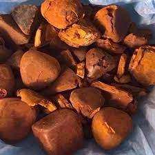 Top quality Cow <b>Ox</b> Gallstones available for sale - Product Image 4