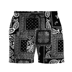 Paisley mode plage short de bain pour hommes impression 3D séchage rapide cordon conseil Shorts Simple carré Plaid Surf maillot de bain - Product Image 4