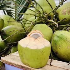 Pulpe de noix de coco fraîche d'origine thaïlandaise Goût rafraîchissant pur et naturel et hydratation! - Product Image 4