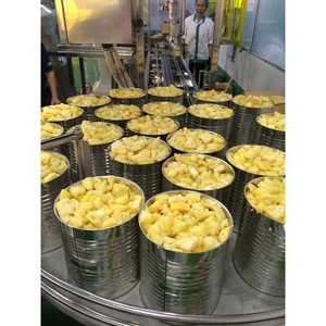 Ananas en conserve de haute qualité au meilleur prix, en sirop léger - 3 kg / Hazel par Viet Delta, durée de conservation de 3 ans, prêt à consommer - Product Image 6