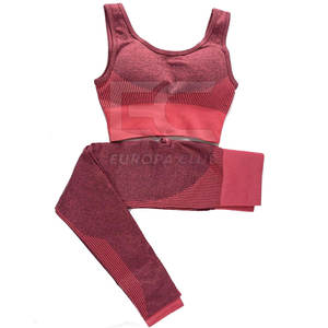 Conjunto Deportivo de Yoga para Mujer, Conjunto de Yoga sin Costuras para Mujer, Ropa Deportiva para Fitness, Conjunto de Yoga para Mujer - Product Image 1