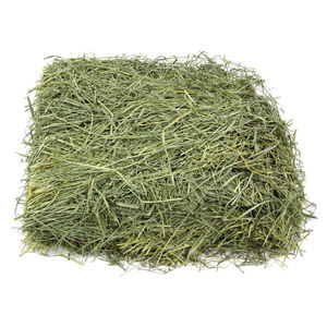 Foin de luzerne à prix très bas Qualité Rhodes Herbe Foin Luzerne Vente en gros Prix bas Par AL SADIQ ENTERPRISES - Product Image 1