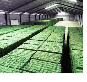 Buy Organic Alfalfa Grass Hay in Netherlands/ Alfalfa Hay Pellets For Animal Feed For Sale Bulk in the uk