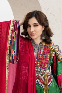 Afghan Kochi largo Maxi estilo vestido de novia para mujer Afghan Gul bakhmal vestido afgano kuchi vestidos antiguos hechos a mano - Product Image 4