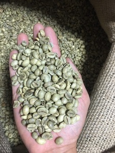 2024-2025 NOUVELLE récolte Robusta Coffee Bean SCR 13 16 18 vert et torréfié direct Vietnam ROBUSTA COFFEE BEAN Brand Grade 60KG Jute Bag - Product Image 3