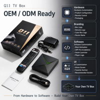 Boîtier TV professionnel Q11 pour le streaming, Android 14, S905X4, 4 Go, 32 Go, 8K, LAN 1000M, 1 pièce MOQ, logo personnalisé, application CMS, fournisseur OEM ODM