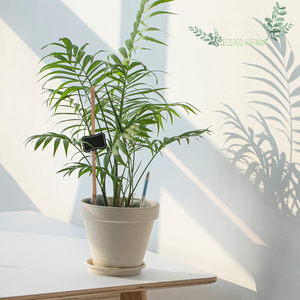 Palos de bambú flexibles sostenibles naturales y de alta calidad para usar en la agricultura para la fabricación de cometas fabricados en Vietnam - Product Image 6