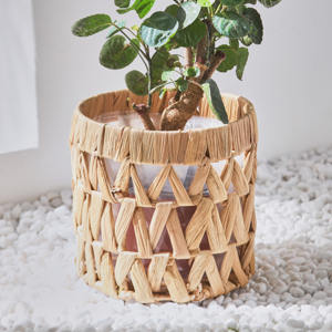Macetas de Interior Ecológicas, Macetas de Jacinto de Agua Tejidas, Macetas de Mimbre para Plantas en Venta - Product Image 3