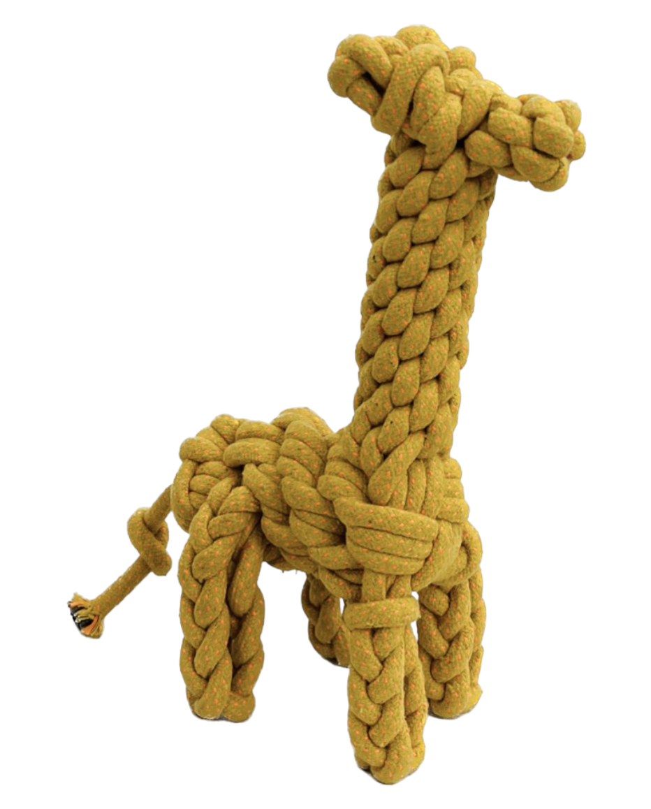 ตามที่แสดงในภาพ