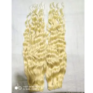 Mèches naturelles vierges de haute qualité — ali queen, cheveux doublement tirés, Extensions de cheveux non traités, blond ondulé 613