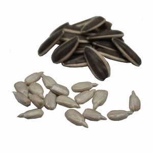 Comida orgánica de semillas de girasol más vendida, producto agrícola versátil para el cuidado de la salud, comida para cerdos, ganado, bolsa para caballos, comida de semillas de té - Product Image 4