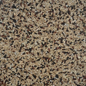 Nutrición equilibrada de mezcla de semillas profesional Premium de 20KG para canarios posturales y pájaros pequeños alimentos para mascotas - Product Image 2