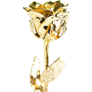 Diseño atractivo 24K oro acabado Metal latón Rosa mejor precio hogar regalo decorativo para Año Nuevo Navidad regalo del Día de San Valentín - Product Image 6