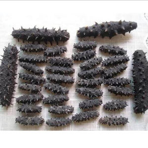 Máscara de Anguila Entera Liofilizada de Primera Calidad, Cosechada en el Campo, Curada Naturalmente al Sol, Alta en Colágeno, Baja en Azúcar, Baja en Carbohidratos, Sin Sal - Product Image 2