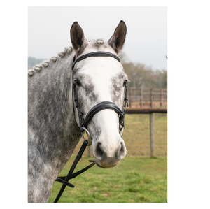 Construire une bride à manivelle anglaise en gros équine licou tack équitation tête équipement équestre bride de cheval - Product Image 5
