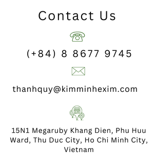 Purée et pulpe d'avocat frais 100% sans sucre, surgelée |   Fabricant vietnamien |   Exportation en gros pour les importateurs - Product Image 4