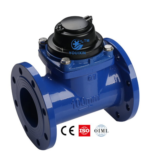 YOUIXIN Mechanical Dry Type Turbine Water Meter IP68 OEM Cold and Hot Woltman
