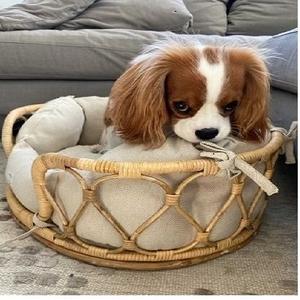 เตียงสุนัขหวายโค้งมนทำด้วยมือสุดหรูเตียงนอนแมวสำหรับสัตว์เลี้ยงที่เป็นมิตรกับสิ่งแวดล้อม - Product Image 6