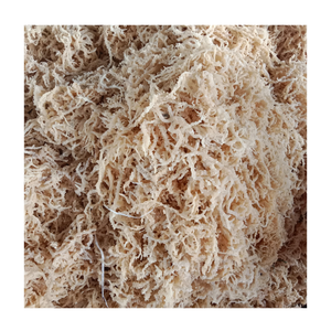 Musgo de mar seco Eucheuma Cottonii, algas, musgo irlandés, suministro a granel para cápsulas, suplementos en polvo y bebidas de desintoxicación ricas en minerales - Product Image 6