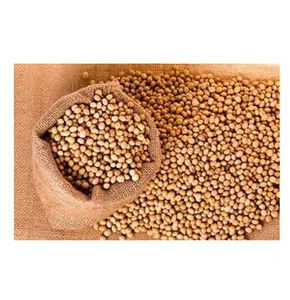 Germinación y soja amarilla de grado alimenticio Frijoles de soja secos de alta calidad Soja no GMO - Product Image 1