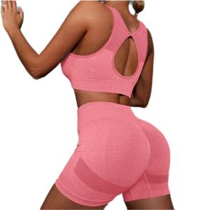 Conjunto de Brasier Deportivo y Bragas para Mujer, Personalizado, de Alta Calidad, Talla Grande, Ropa Interior sin Costuras, Sexy, para Yoga - Product Image 4
