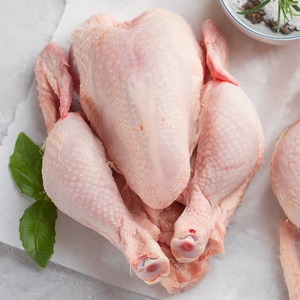 Poulet entier congelé halal de qualité supérieure à vendre - Product Image 4