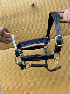 Questrian-se ha añadido un aro, Equipo para caballos, EAD, ollar - Product Image 6