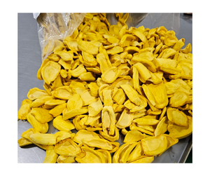 Fabricant Vietnam Fournisseur Chips de Jacquier Séchées Meilleur Vendeur-Jaque Séchée Bon Prix Jaque à vendre Fruits séchés Jack - Product Image 2