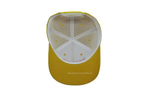 Gorra de béisbol con bordado 3D Pappos personalizada OEM, gorra de béisbol precurvada ajustable de alta calidad de perfil medio, gorra deportiva de poliéster 100% - Product Image 6