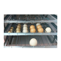 Nouvel incubateur entièrement automatique de haute qualité fabriqué en Italie pour 196 œufs de poule Mini PRO 196 DU 220V