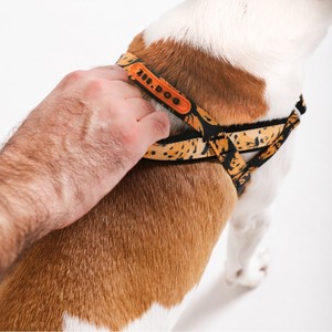 Arnés Noruego de Moda para Perros, Diseño Farm Rio Bossa Banana, Hecho de Poliéster, para Caminatas Más Suaves - Product Image 2