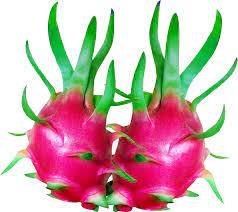 Fruit du dragon naturel doux et frais Prix compétitif/bon pour la santé - Product Image 3