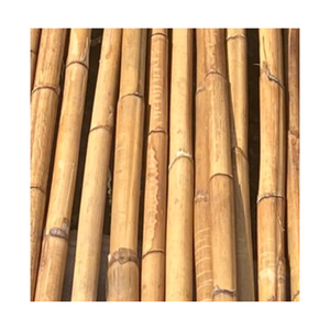 MATIÈRE PREMIÈRE DE ROTIN-POLE DE ROTIN À L'EXPORTATION DE LA CANNE DE ROTIN/EXPORTATEUR DE NOYAU - Product Image 1