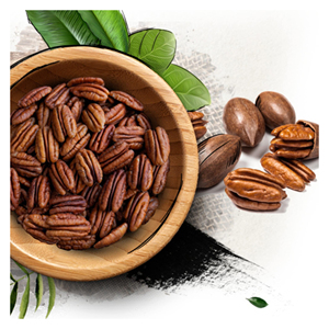 Fornecedores Pinhão, Nozes Pecan, Kernels De Pinho